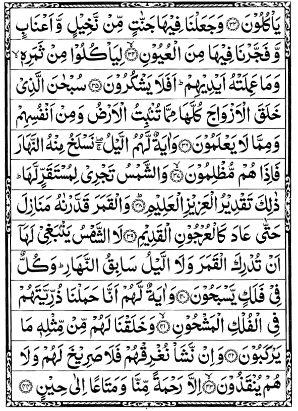 Surah Yasin